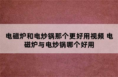 电磁炉和电炒锅那个更好用视频 电磁炉与电炒锅哪个好用